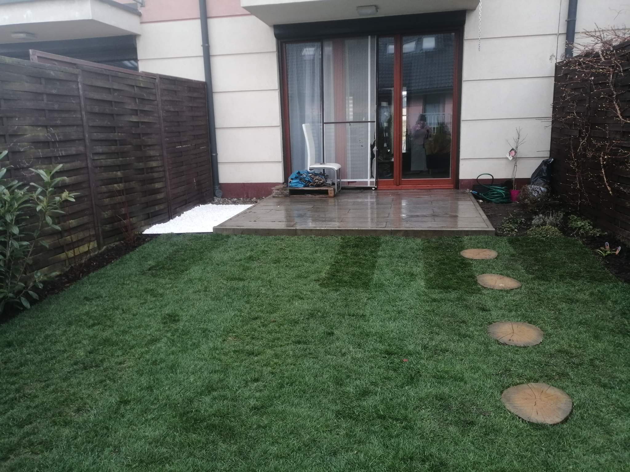 Modernizacja nasadzeń oraz założenie trawnika z rolki – ogród w Zielonkach