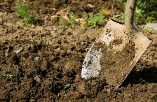 Na jakie cechy gleby należy zwrócić uwagę przed wykonaniem projektu ogrodu przydomowego?